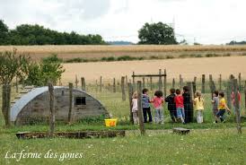 OUVERTURE MJC JUIN 2020